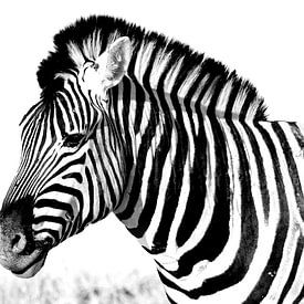 zebra van Henk Langerak