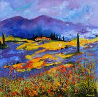 Lavender in provence