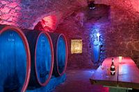 Wine cellar with wooden barrels