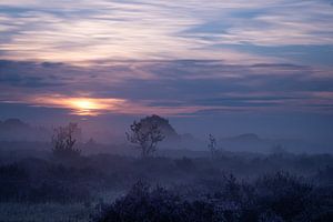 Mystique Sunrise