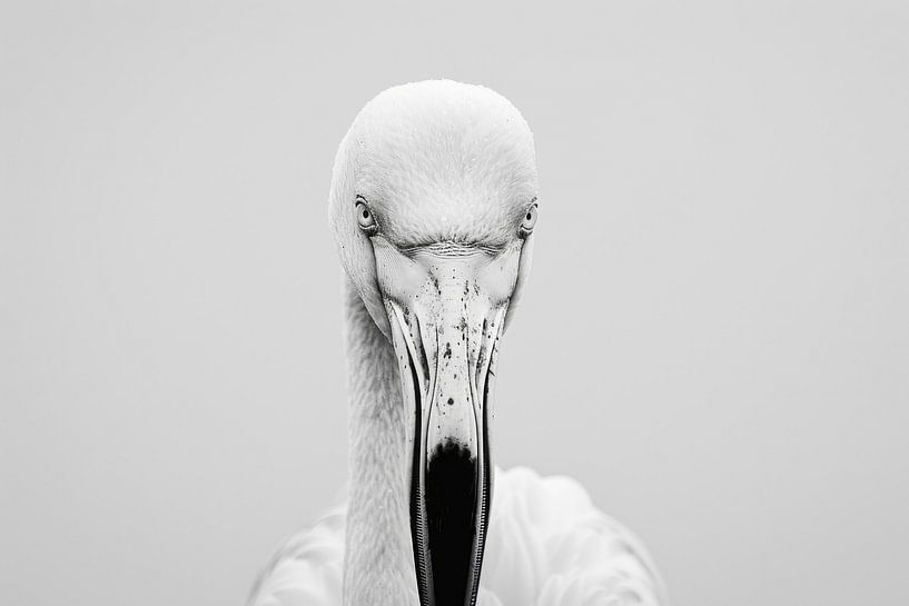 Flamingo by Poster Art Shop