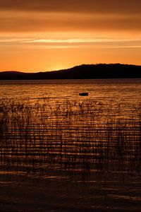 Golden Lake