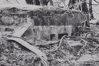 Bunker, 2. Weltkrieg von WeVaFotografie Miniaturansicht