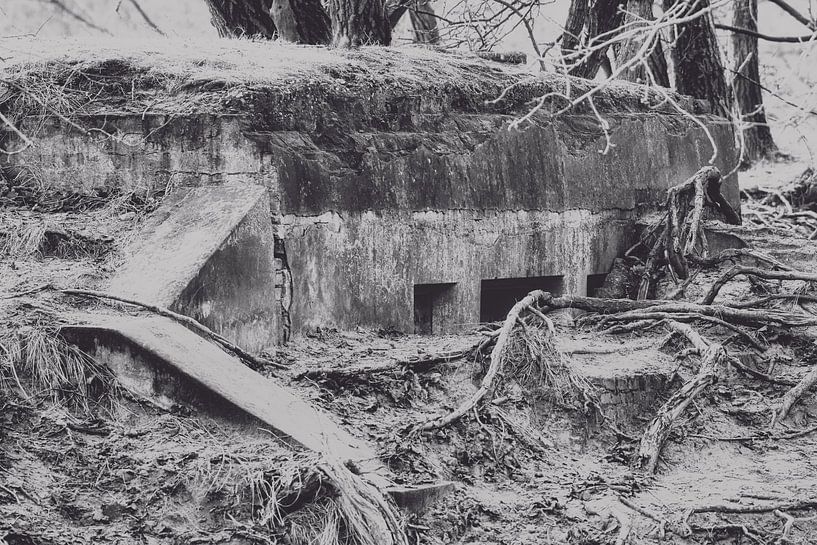 Bunker, 2. Weltkrieg von WeVaFotografie