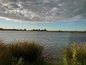 Nature sur photosbybrandon