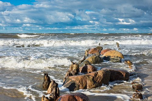 Baltic Sea coast on a stormy day