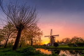 De wippersmolen in Maassluis van Nathan Okkerse