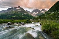 Alpine Summer