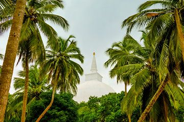 Doorkijkje palmbomen naar stoepa in Sri Lanka van Jille Zuidema