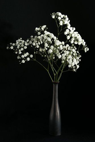 Nature morte aux fleurs blanches