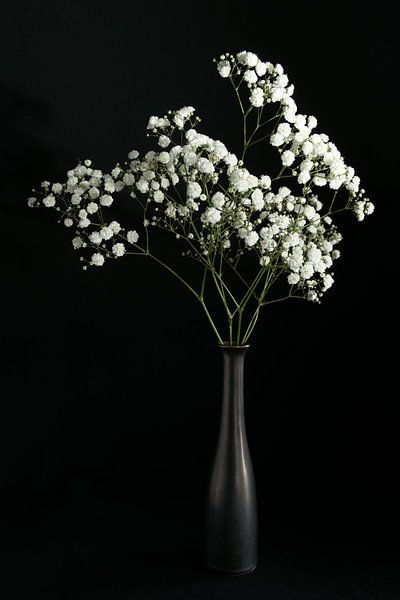 Nature morte aux fleurs blanches par Felix Sedney