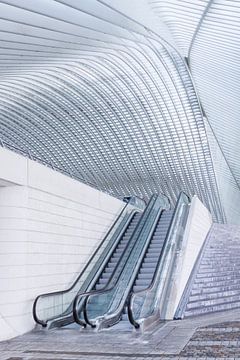 Architectuur Liège-Guillemins, station Luik, ontworpen door Calatrava. van Shaquille Maarschalkerweerd
