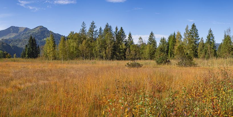 In the golden breath of autumn - the moor as a silent poem of nature by Walter G. Allgöwer