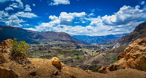 Uitzicht over de Colca vallei, Peru