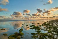Waddenzee