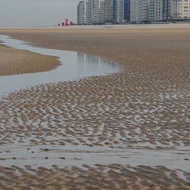 Aan het strand van Oostende van Miss Dee Photography