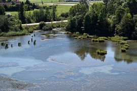 Pflach, Reutte, Lech in Tirol / Österreich.  Bilder von den Lechauen, der Lech im Sommer. von Karl-Heinz Petersitzke