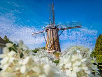 Moulin à Huijbergen