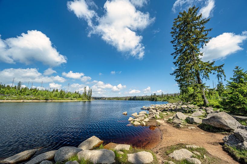 Uitzicht op de Oderteich vijver in het Harz gebergte in Duitsland van Andreas Völkel