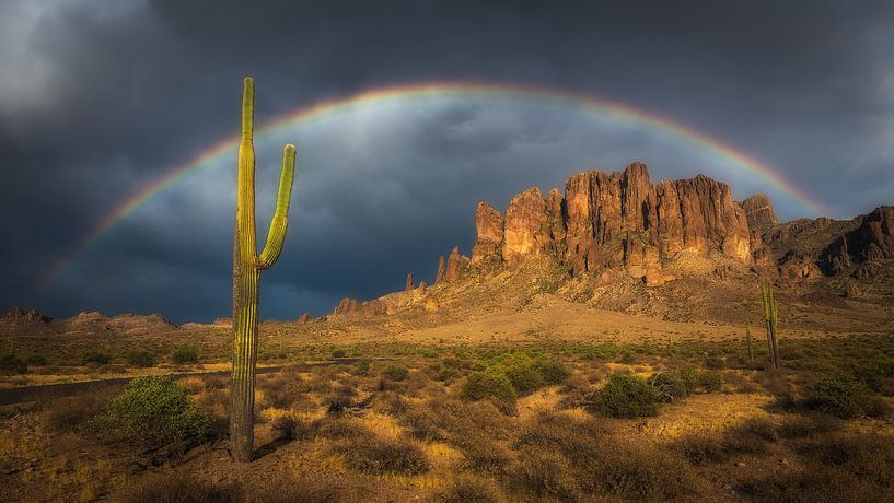 Regenboog over een saguaro cactus van Edwin Mooijaart