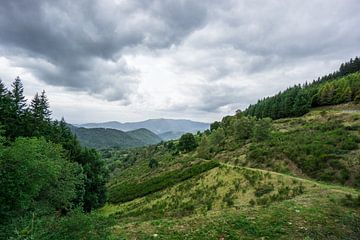 Frankrijk - Landschappelijk uitzicht op groen berglandschap nabij route de cretes van adventure-photos
