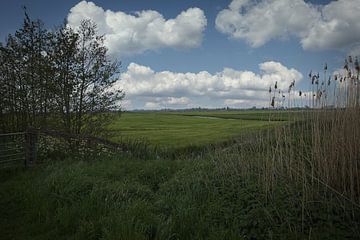 Dutch Landscape by Mart Houtman