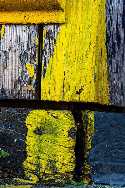 Gele hoek in het oude hout van Flatfield