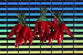 Peppers red