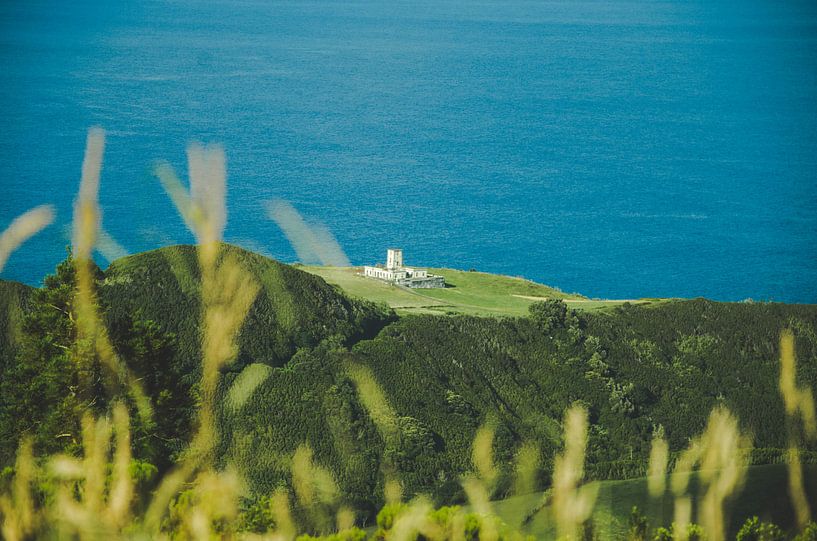 Blauer Ozean, grüne Landschaften mit einem Leuchtturm. von Isai Meekers