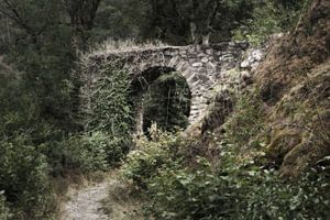 The old castle gate 2