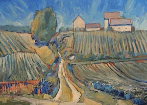 Summer light over the vineyard