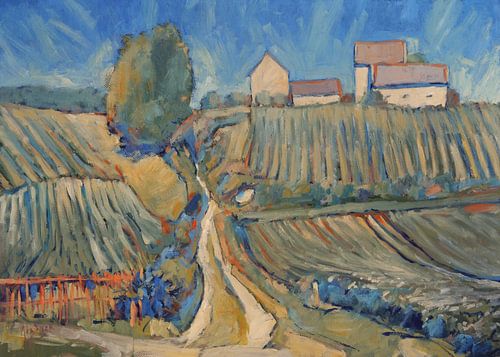 Summer light over the vineyard by Nop Briex