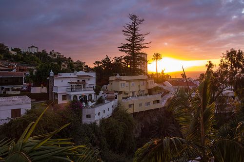 View to Puerto de la Cruz on the canary island Tenerife