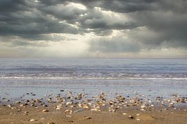 The beach by WeVaFotografie