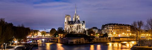 Notre-Dame van Parijs