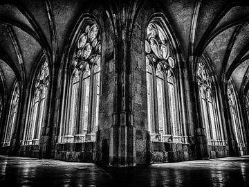 Kloostergang Dom, Utrecht (schwarz-weiß) von Lex Schulte