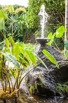 Fontaine dans le jardin La Mortella à Forio, Ischia, Italie. sur Christian Müringer