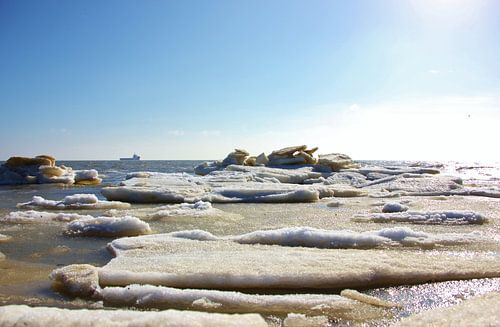 Texel Zeezicht 007