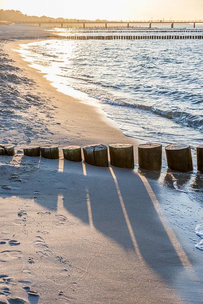 Buhnen am Strand von Zingst, Ostsee von Christian Müringer
