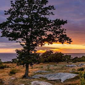 Zonsondergang op het Deense eiland Bornholm van Adelheid Smitt