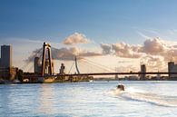 Willemsbrug met watertaxi van Prachtig Rotterdam thumbnail