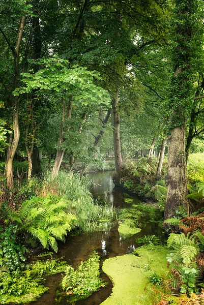 Weelderig van Ellen Borggreve