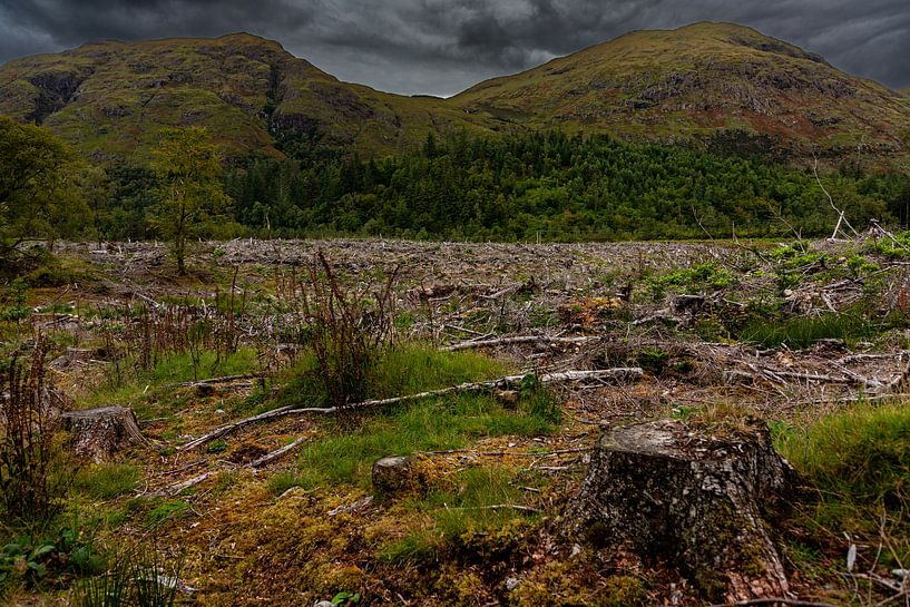 Scotland's amazing highlands by René Holtslag
