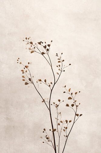 Abstracte kunst Japan