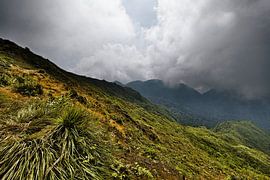 Tropical mountains and threatening clouds by Frank Photos