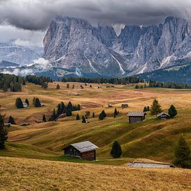 The Alpe di Siusi in the Dolomites by Steffen Peters