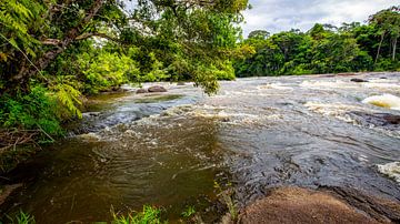 Suriname-Fluss bei Awaradam von René Holtslag