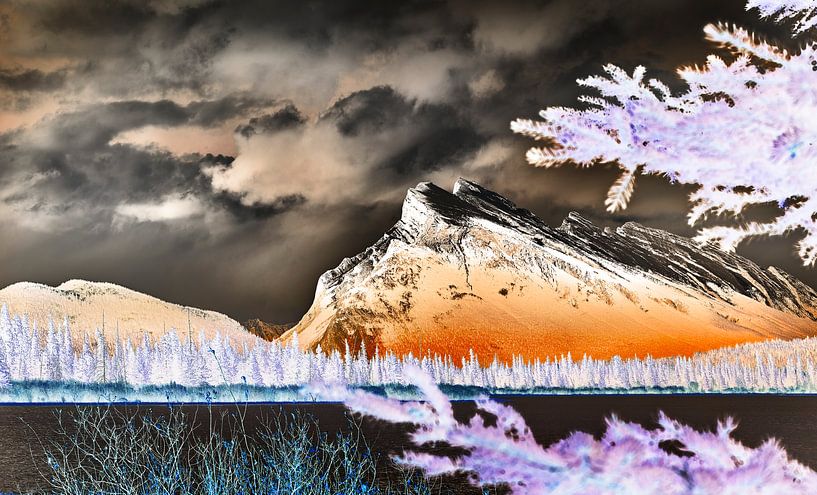 Se faufiler entre les arbres par Graham Forrester