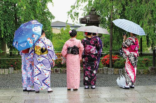 Geishas Parasols