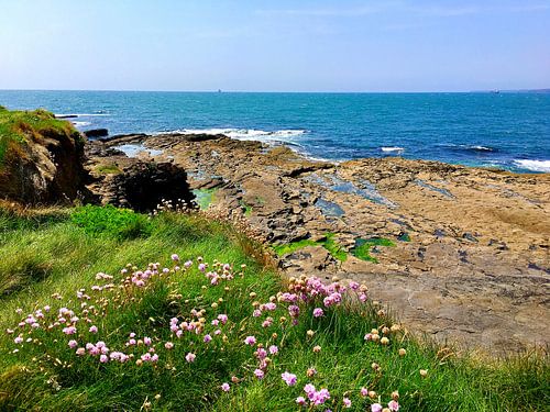 De wilde kust van Ierland op het schiereiland Hook Head
